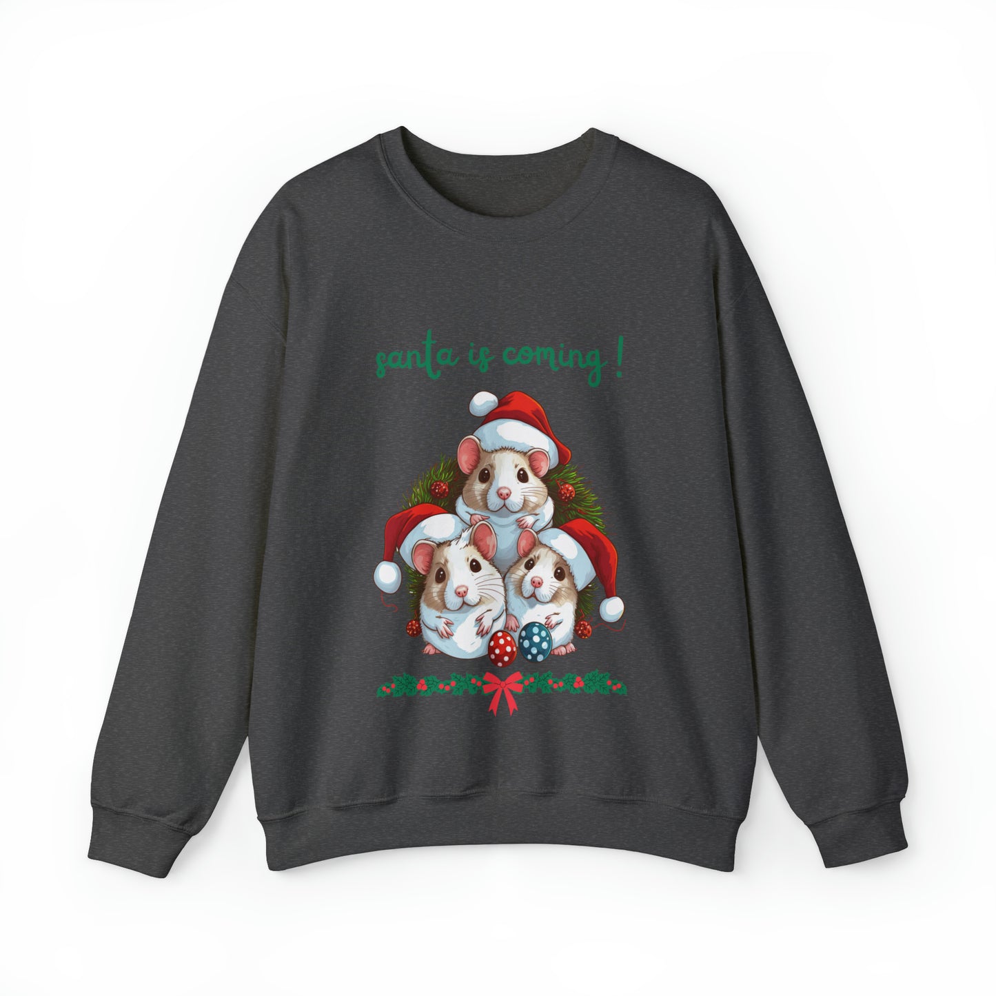 Santa is Coming Sweatshirt