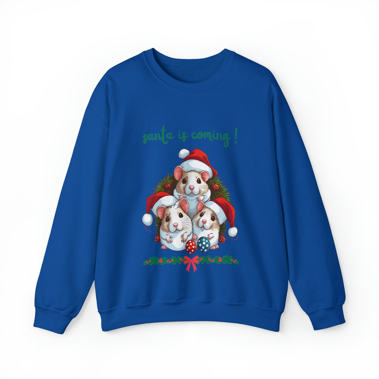 Santa is Coming Sweatshirt