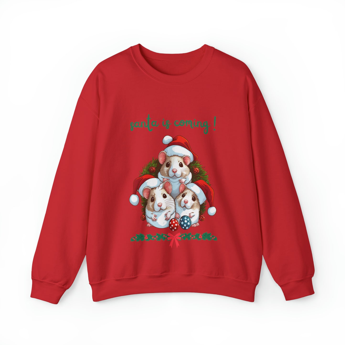 Santa is Coming Sweatshirt