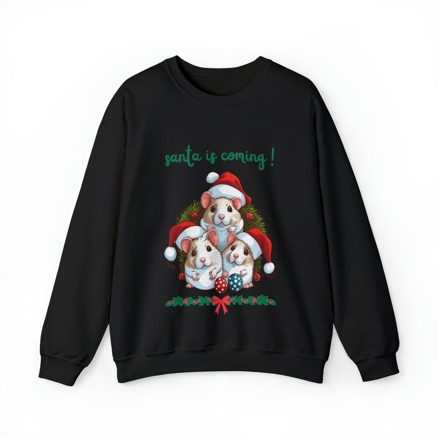 Santa is Coming Sweatshirt