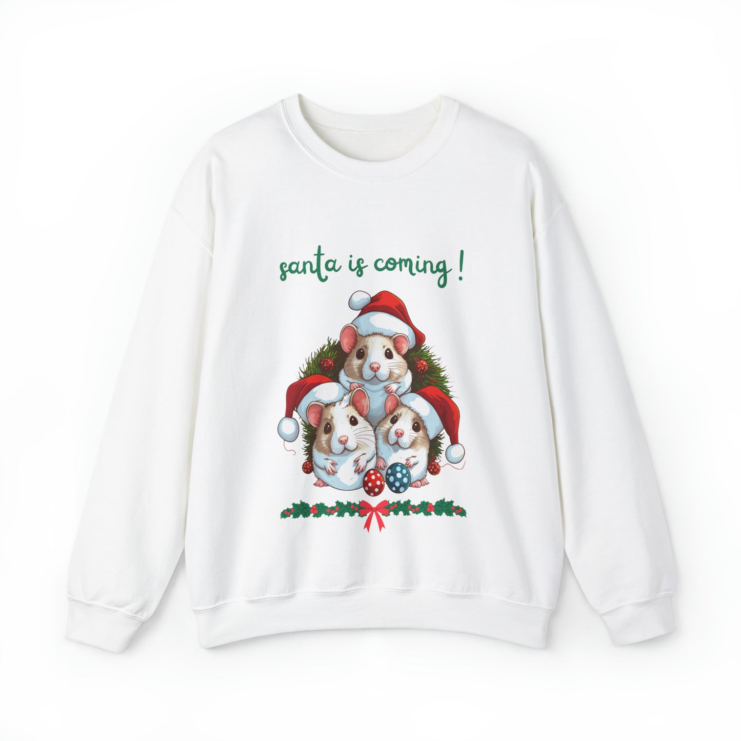 Santa is Coming Sweatshirt