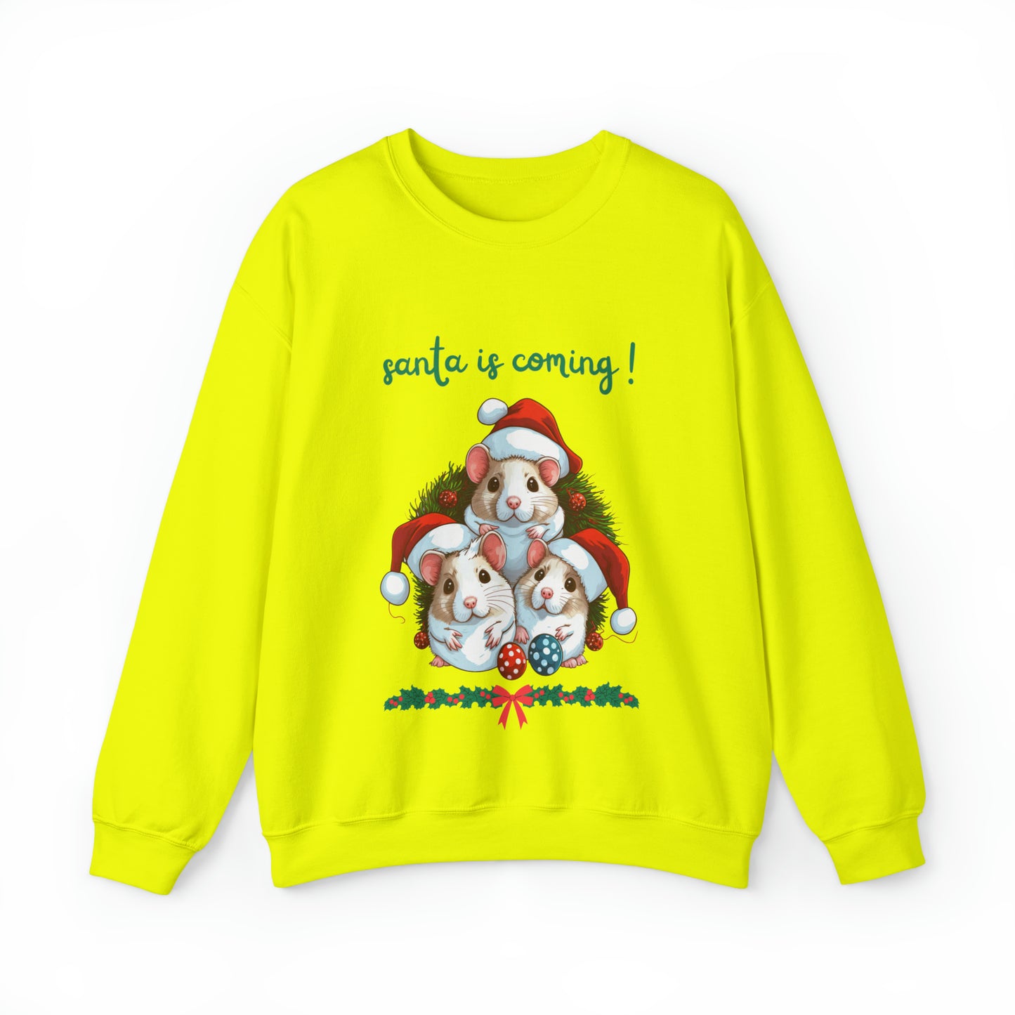 Santa is Coming Sweatshirt